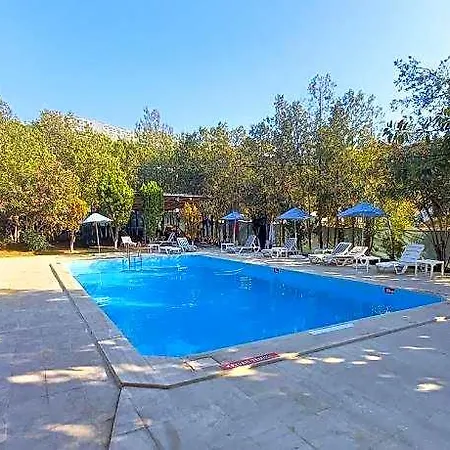 Tropicana Hotel